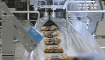 蒲烧鳗鱼的工业化生产 从传统技艺到现代流水线